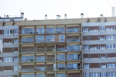 Les Urbaindigenes 24 * 5616 x 3744 * (7.37MB)
